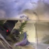 ベタメス サムネイル2