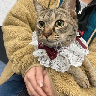 5兄妹　唯一の女の子♡バラちゃん