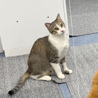 遊ぶの大大大好き♡デールくん