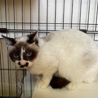 綺麗な空色の瞳♡大空くん１歳