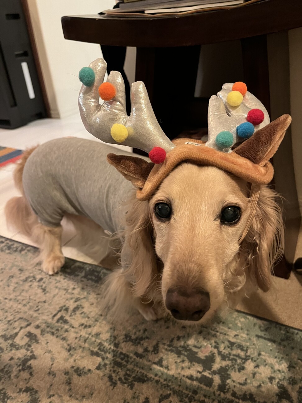 チップ