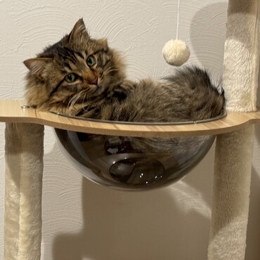 やっと入ってくれました(^^)