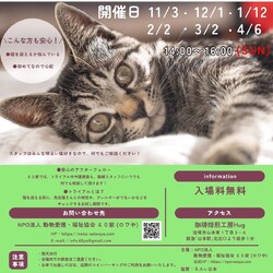 猫の里親会 サムネイル1
