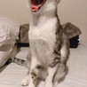 の写真