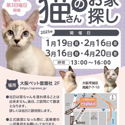 第78回 ViVAキャッツ譲渡会