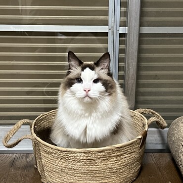 の写真