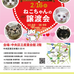 ねこざんまい譲渡会@東日本橋 サムネイル1