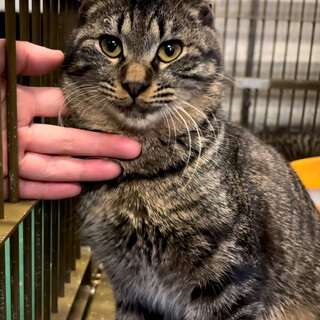 センター来訪者に二匹で譲渡されました