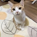 素敵なおうちが見つかりました☆リノ