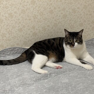 立派に成長した三兄妹