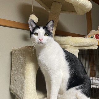 事故の後遺症にも負けず元気いっぱい❗️