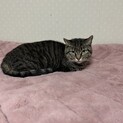 環境に不安ありの場所より 親子で保護