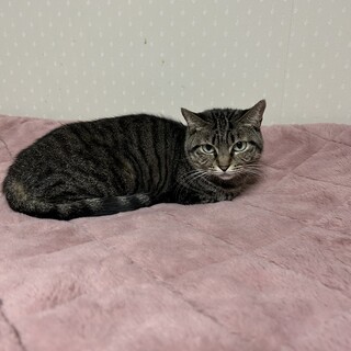 環境に不安ありの場所より 親子で保護