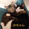 幸運を掴んだ天真爛漫ギャルJD(ジェディ) サムネイル2
