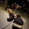 ムサシまま