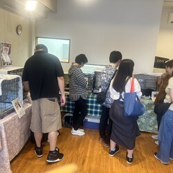 orangeの猫たちの譲渡会in大倉山 サムネイル3