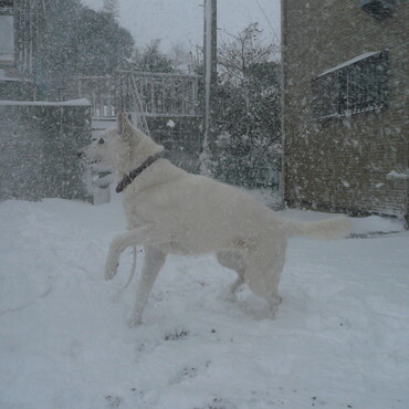 雪に慣れない九州の皆様！大雪注意です！