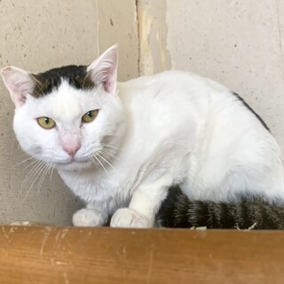 6ヶ月、個性派な男の子