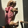 人が大好きで元気なトワくん サムネイル7