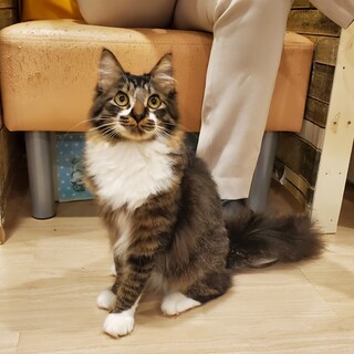 ふわふわモコモコなきっく君♂️