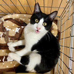 「餌やりばあさん」サムネイル3