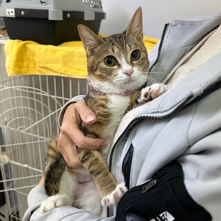 クリクリお目目が可愛い❤︎フィニッシュちゃん