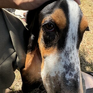 現在諸事情により停止中です。