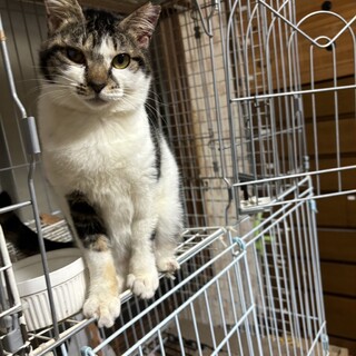 ありがとうございました★甘えん坊のダイアリーちゃん