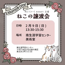  ✽.｡.:*・ﾟほごねこ譲渡会✽.｡.:*・ﾟ 