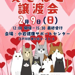 えどねこ譲渡会 江戸川区保健所（小岩健康サポートセンター）