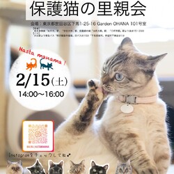 保護猫里親会アスタマニャーナ サムネイル1