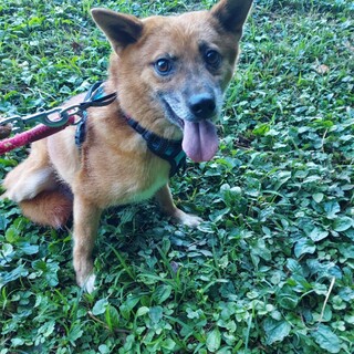 投稿内容を誤ったため削除しました