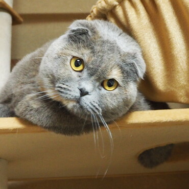 の写真