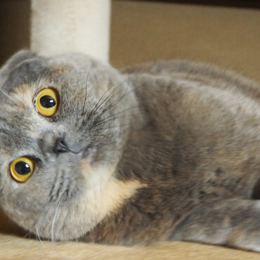 の写真