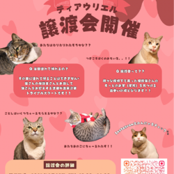 甘えん坊大集合！第3回ウリエル譲渡会！ サムネイル2