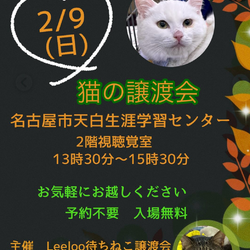 待ちねこ譲渡会　