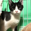 ヤンチャ盛り甘えん坊、えびくん
