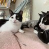 とっても愛くるしく癒しをくれるけいくん
