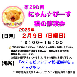 にゃん☆ぴーす猫の譲渡会【稲毛海岸/ペテモピアシティ稲毛海岸店』