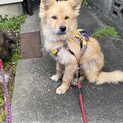 調整中のため一旦ストップにてお願いします。