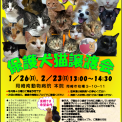 犬猫の譲渡会を開催します！