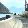 真寛