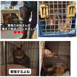 「2025.01.25-02」サムネイル1