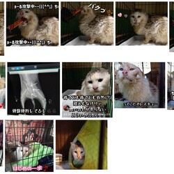 「2025.01.25-03」サムネイル1