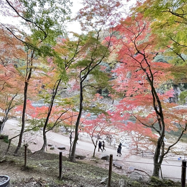あーぷるんのカバー写真
