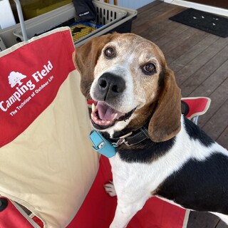 お散歩大好き！ひょうきんで気のいい女の子