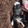 こう