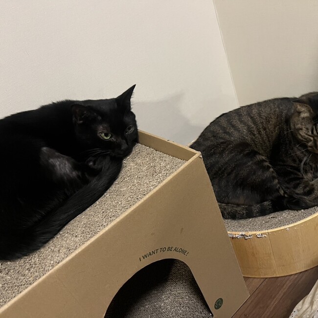 クロマル0705のカバー写真