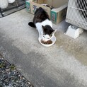 食いしん坊の女の子