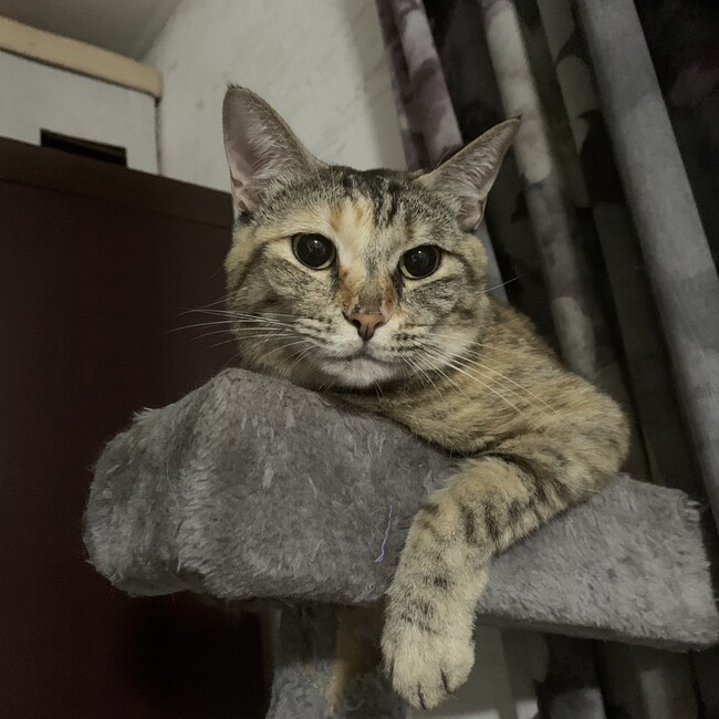 磯貝駿介のカバー写真